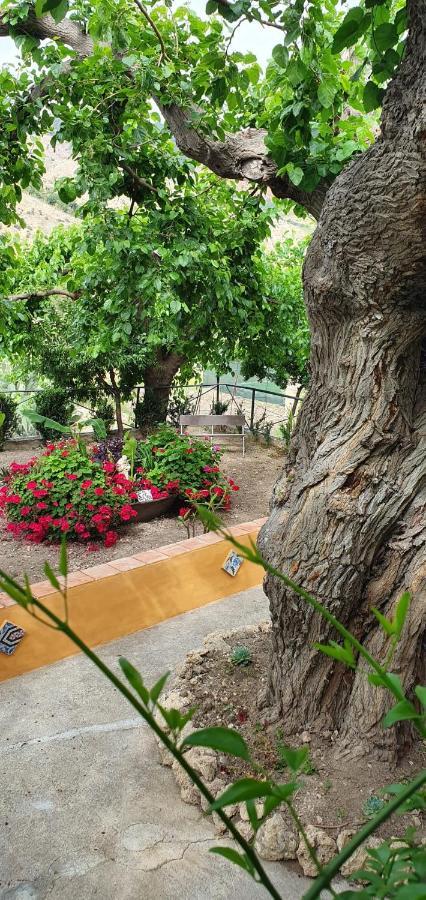 Casa Vacanze Fondaco Di Scillato Scillato  Buitenkant foto