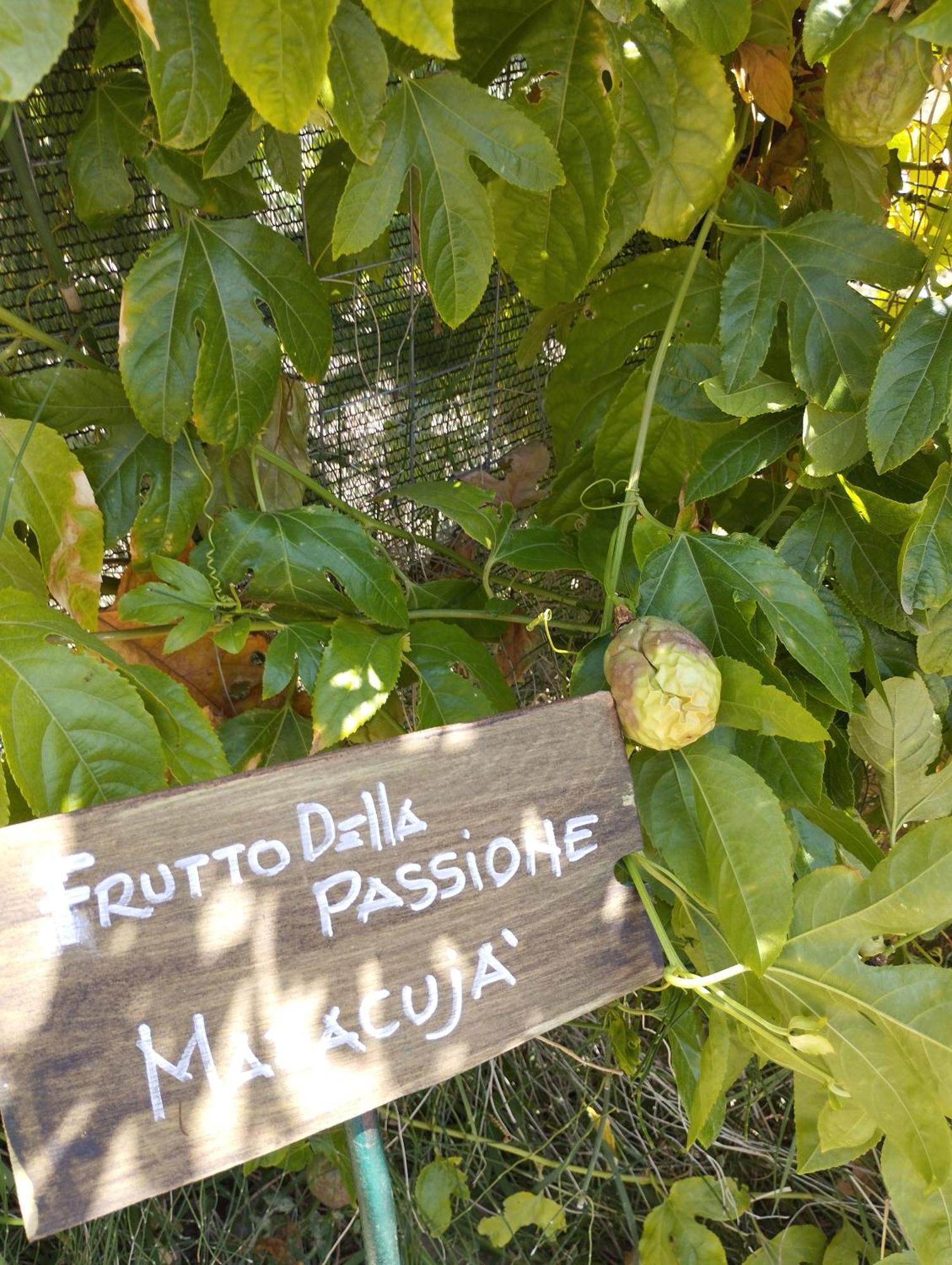 Casa Vacanze Fondaco Di Scillato Scillato  Buitenkant foto